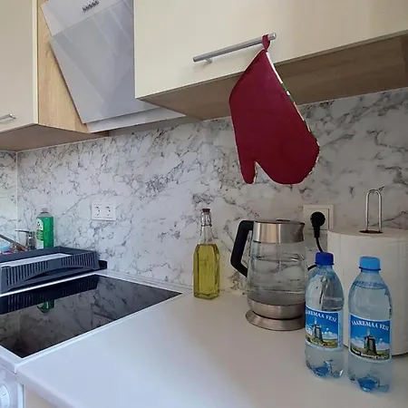 Cozy Near City Centre Apartment Tallinn